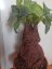 Mandragorka 55 cm