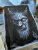 Tvář z temnoty
