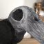 Edgar