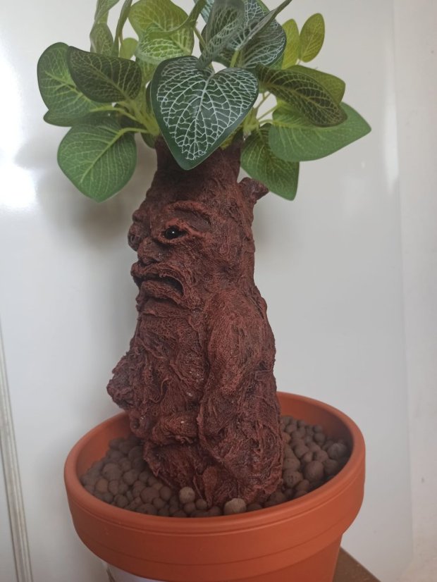 Mandragorka 55 cm